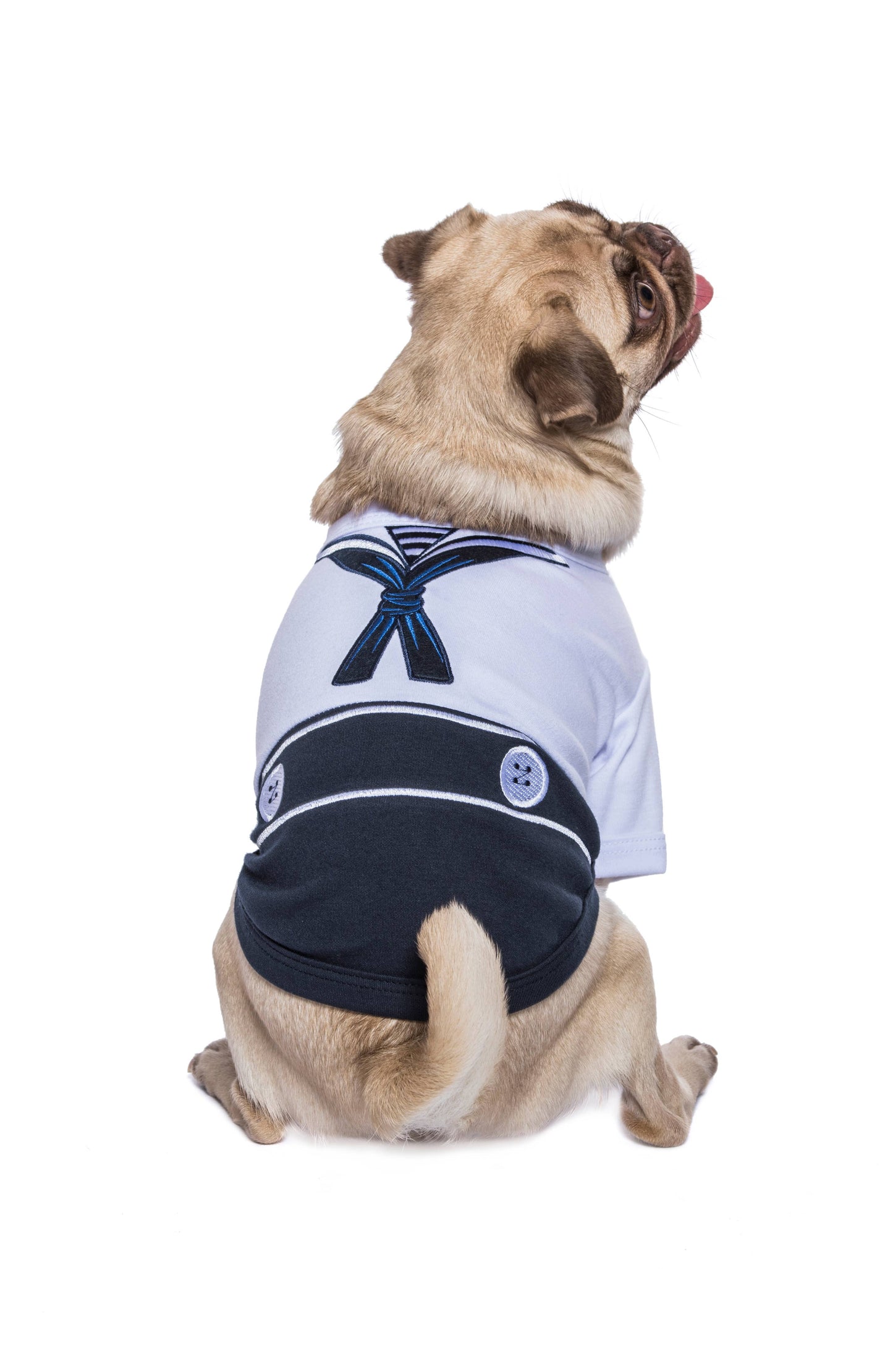 Sailor Dog Halloween Costume – Trendy Dog Costume