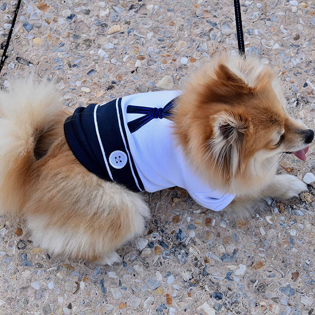 Sailor Dog Halloween Costume – Trendy Dog Costume